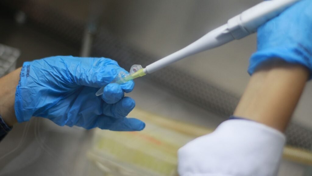 Close-up of a scientist using a pipette during precision laboratory work